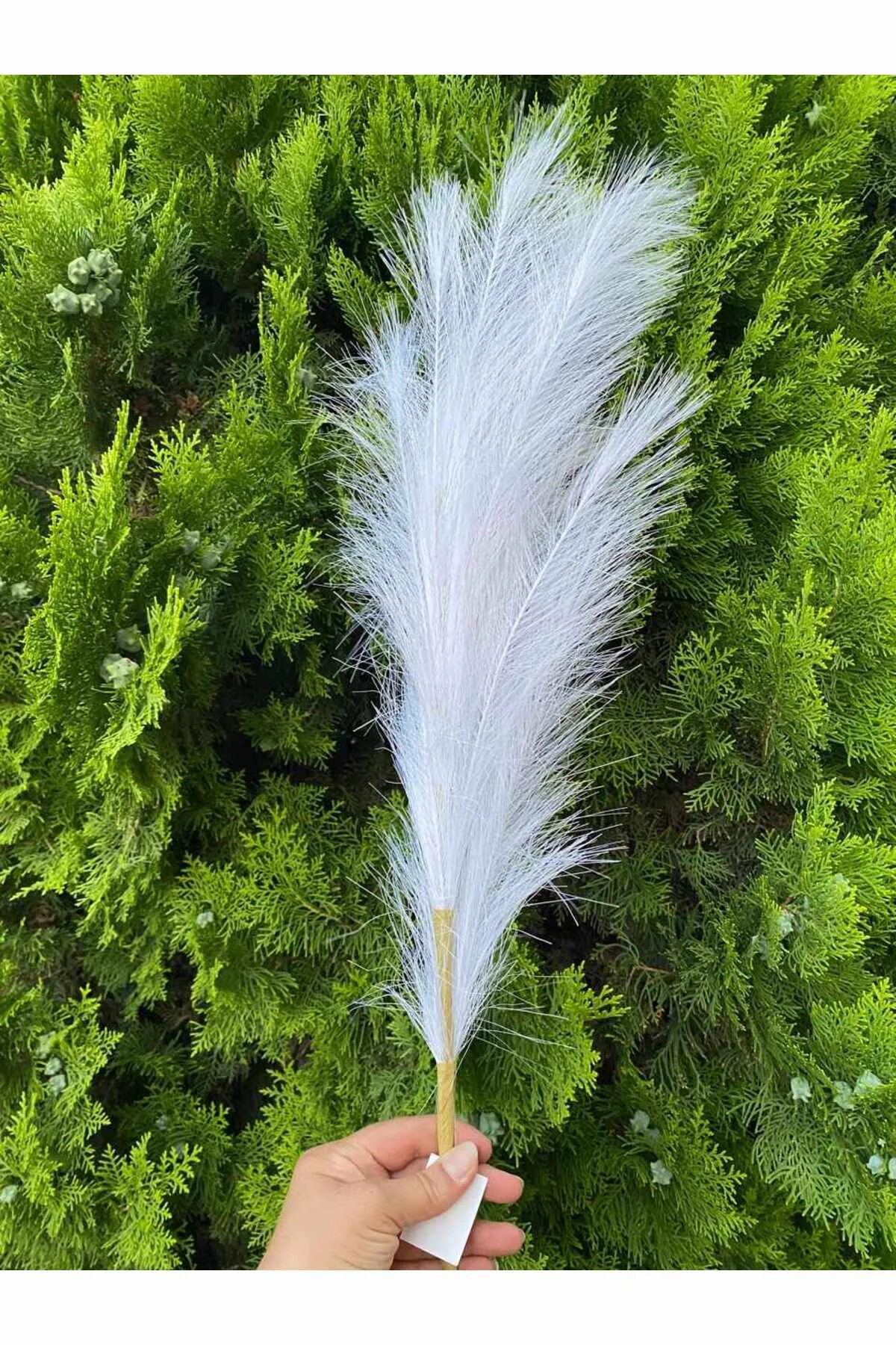 İthal Beyaz Pampas Yapay Dal Dökülmeyen Cins 100 cm