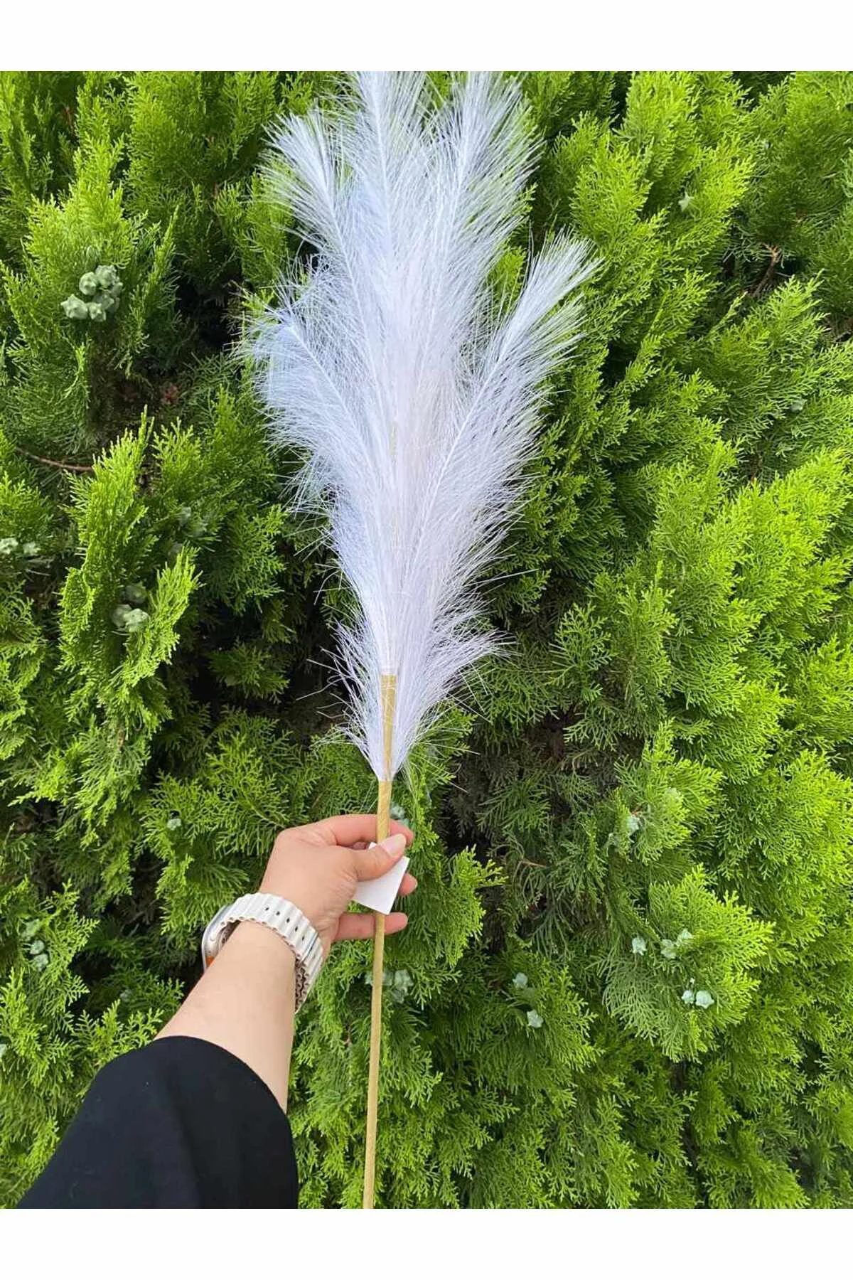 İthal Beyaz Pampas Yapay Dal Dökülmeyen Cins 100 cm
