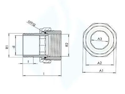 İthalat® 1 1/4 Düz Radyatör Rakoru İthalat® 1 1/4 Düz Radyatör Rakoru