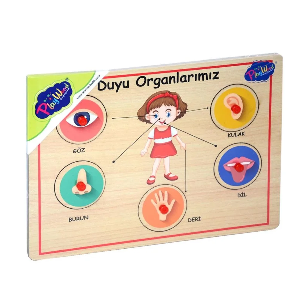 İthalat® 166/167 Onyıl, Ahşap Tutmalı Organlar