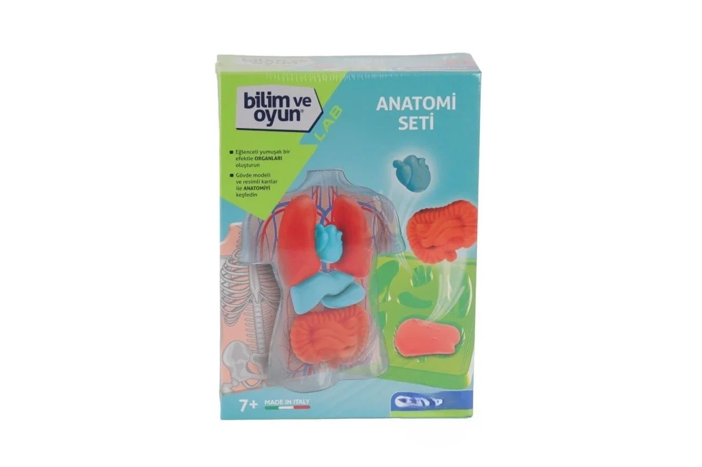 İthalat® 64742 Bilim ve Oyun - Anatomi Seti