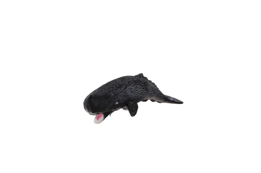 İthalat® A8155-BS007  DENİZ HAYVANLARI 12