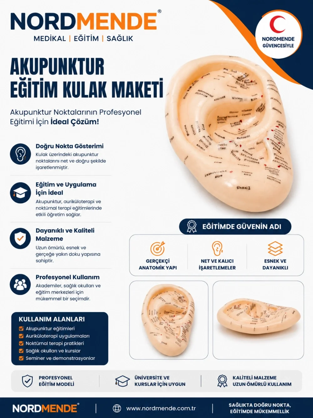 İthalat® Akupunktur Eğitim Kulak Maketi Auriküloterapi Nokta Gösterim Anatomik Eğitim Modeli İthalat® Akupunktur Eğitim Kulak Maketi Auriküloterapi Nokta Gösterim Anatomik Eğitim Modeli