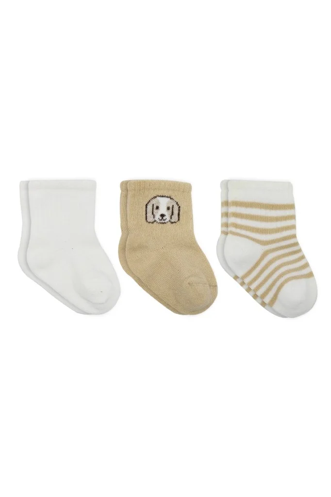 İthalat® Bistyle Dog Boy 3'lü Penye Soket Çorap 10134 Ekru