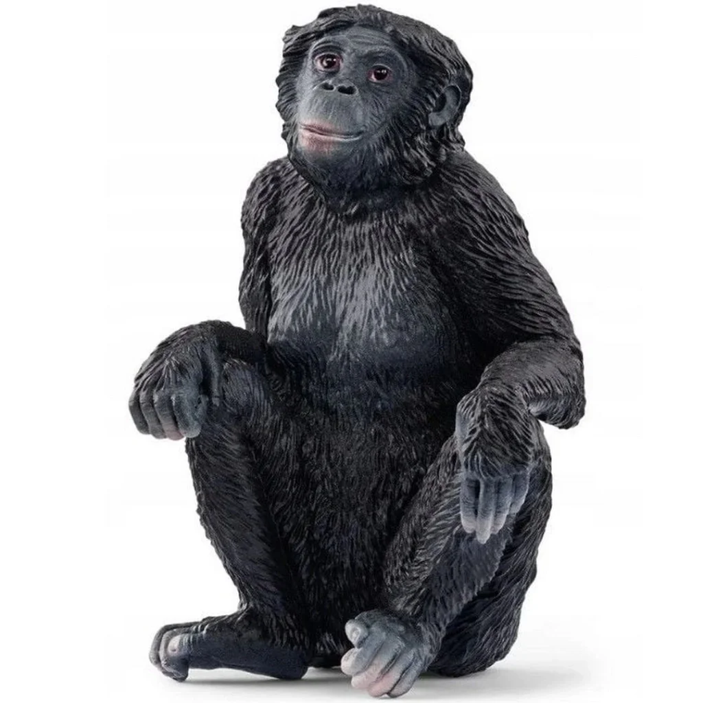 İthalat® Bonobo Fiyatı, Yorumları ve Özellikleri