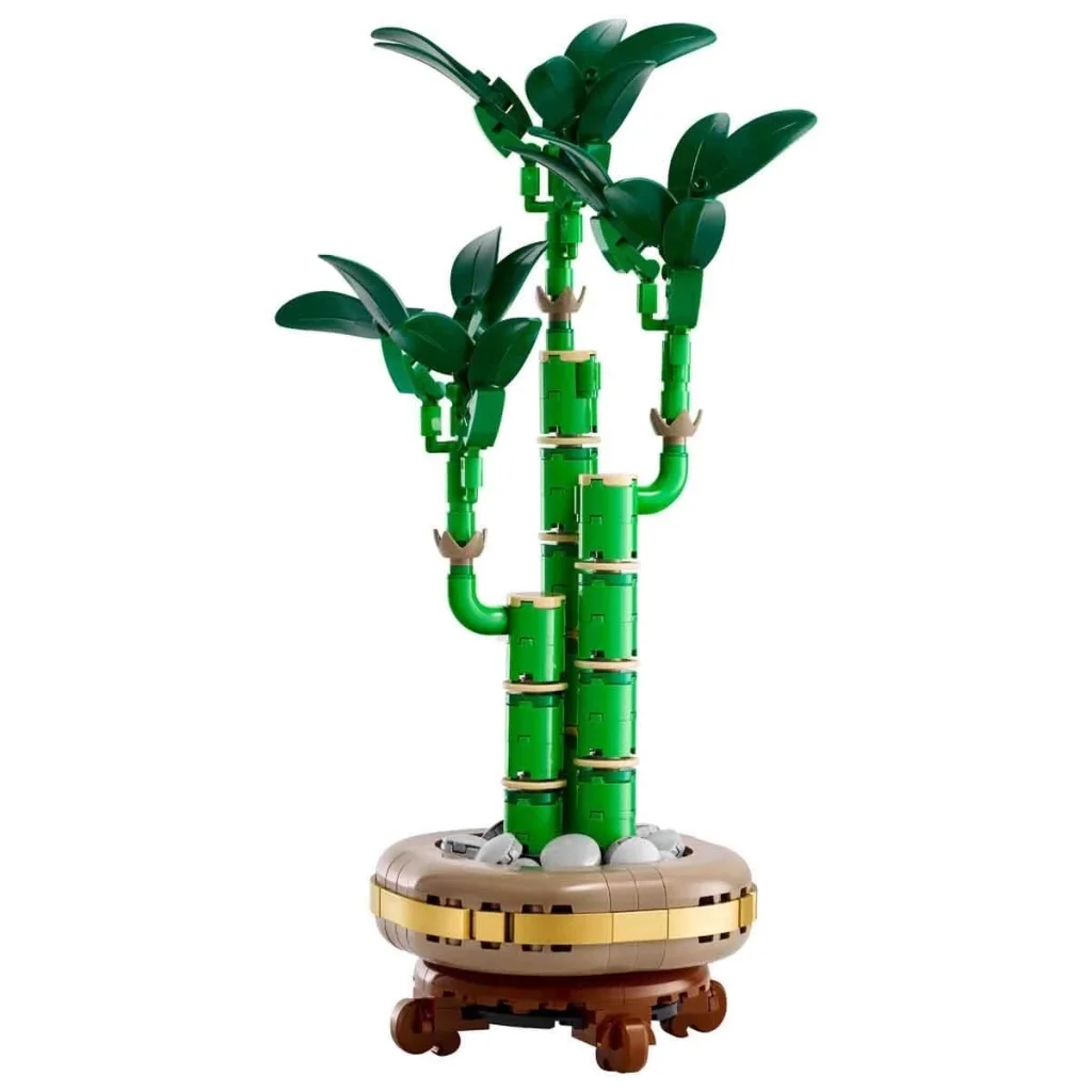Botanicals Şans Bambusu 10344 Botanicals Şans Bambusu 10344