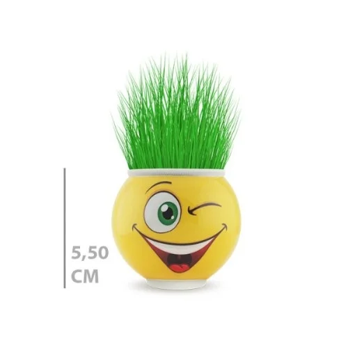 İthalat® Çim Adam Saksı Emoji Figürlü 1 Adet