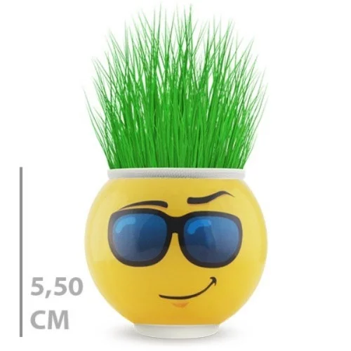 İthalat® Çim Adam Saksı Emoji Figürlü 1 Adet