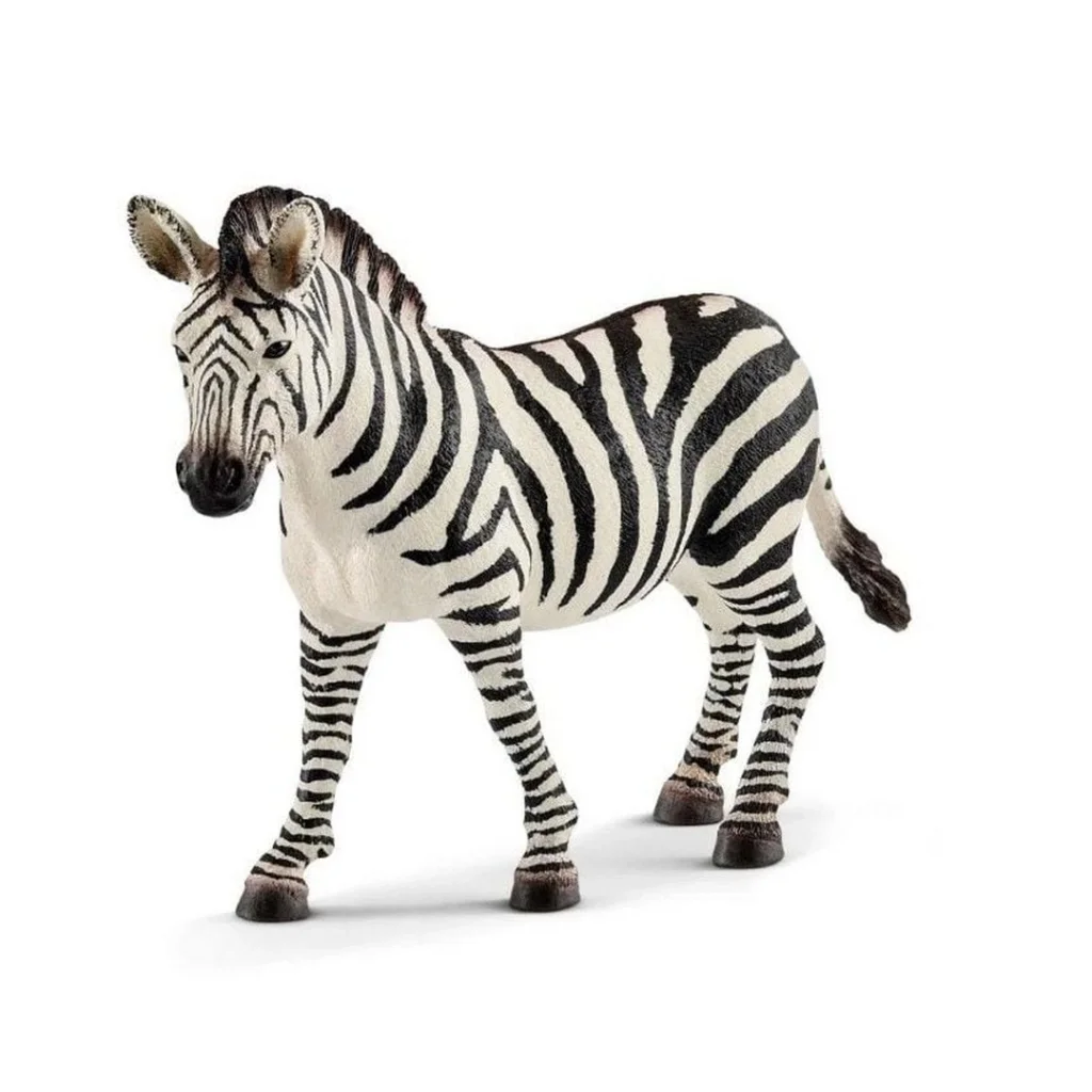 İthalat® Dişi Zebra Fiyatı, Yorumları ve Özellikleri