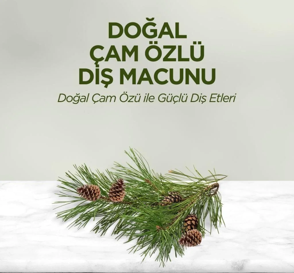 Doğal Diş Macunu 90 Gr Çam Özlü Fiyatı, Yorumları ve Özellikleri