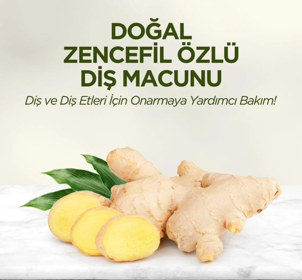 İthalat®   Doğal Diş Macunu 90 Gr Zencefil Özlü