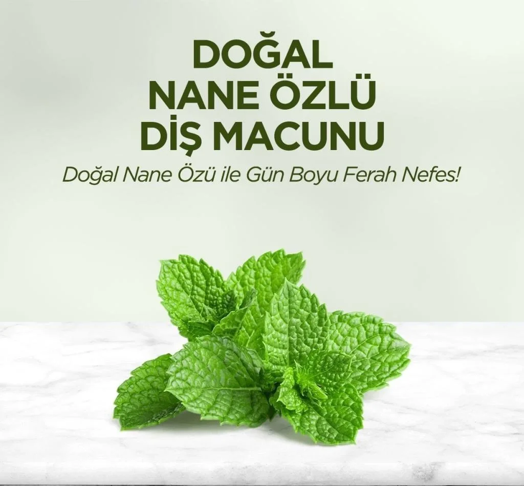 Doğal Diş Macunu 90 Gr Nane Özlü Fiyatı, Yorumları ve Özellikleri