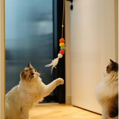 İthalat® Elastik Yapışkanlı Kedi Oyun Oltası