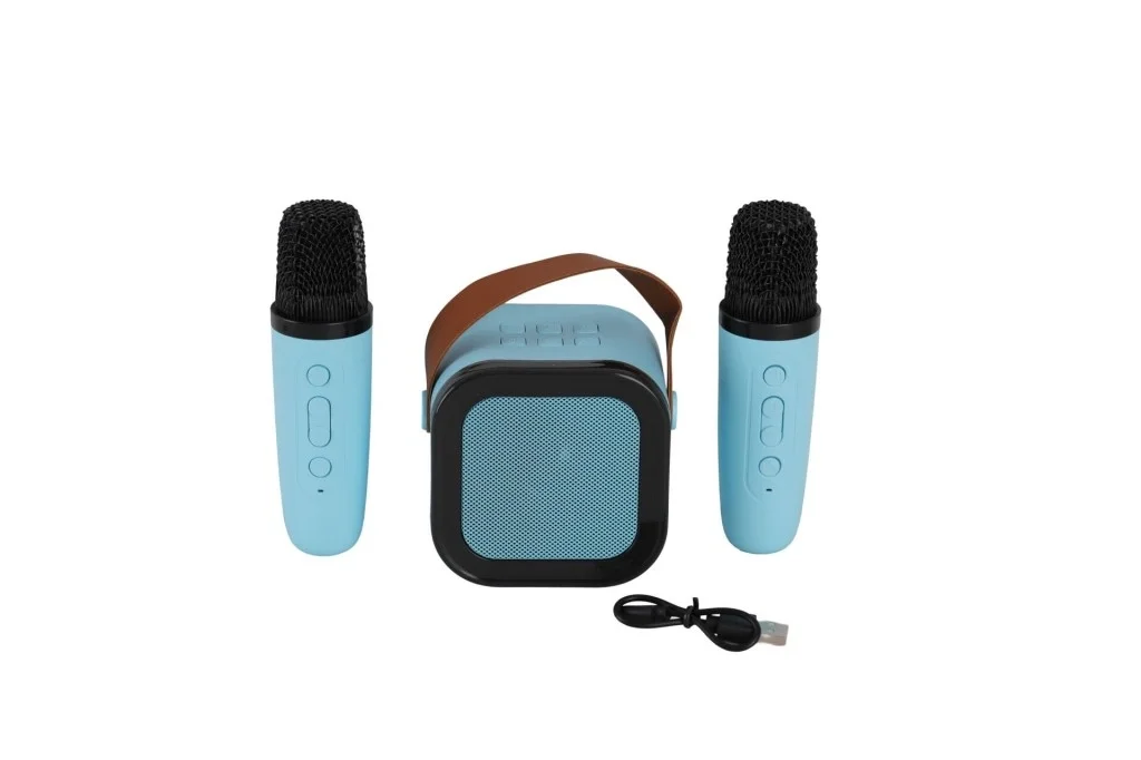 İthalat® EMR-102 KUTULU 2Lİ KARAOKE MİKROFON