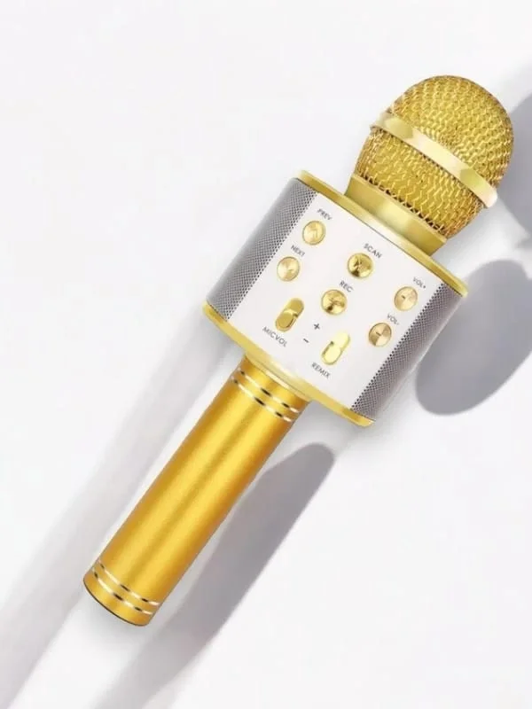 İthalat® KAREOKE  MIKROFON