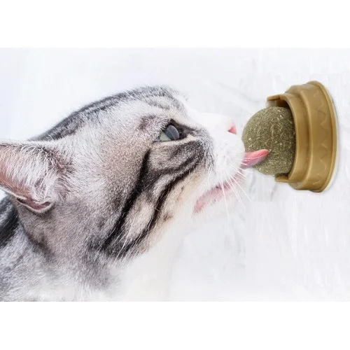 İthalat® Kedi Otu Oyun Topu Cat Mint