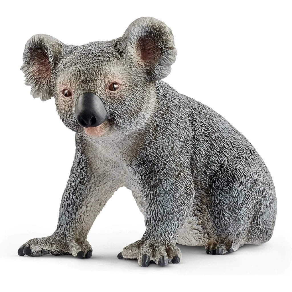 İthalat® Koala Fiyatı, Yorumları ve Özellikleri