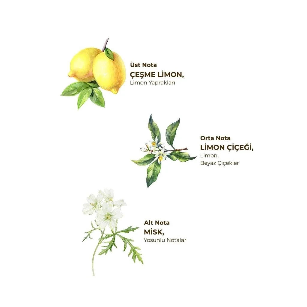 İthalat®   Kolonya Pet Şişe Sprey 150 ml Çeşme Limonu