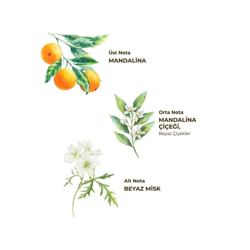 Kolonya Pet Şişe Sprey 150 ml Bodrum Man ası Fiyatı, Yorumları ve Özellikleri
