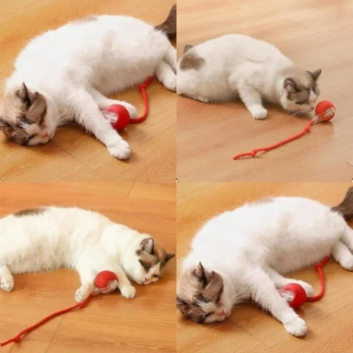 İthalat® Şarjlı Kedi Oyuncağı