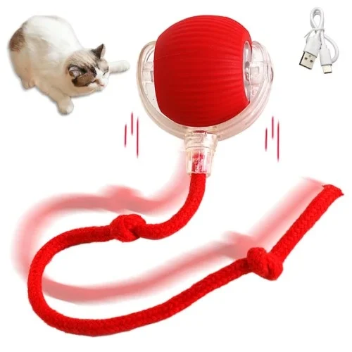 İthalat® Şarjlı Kedi Oyuncağı