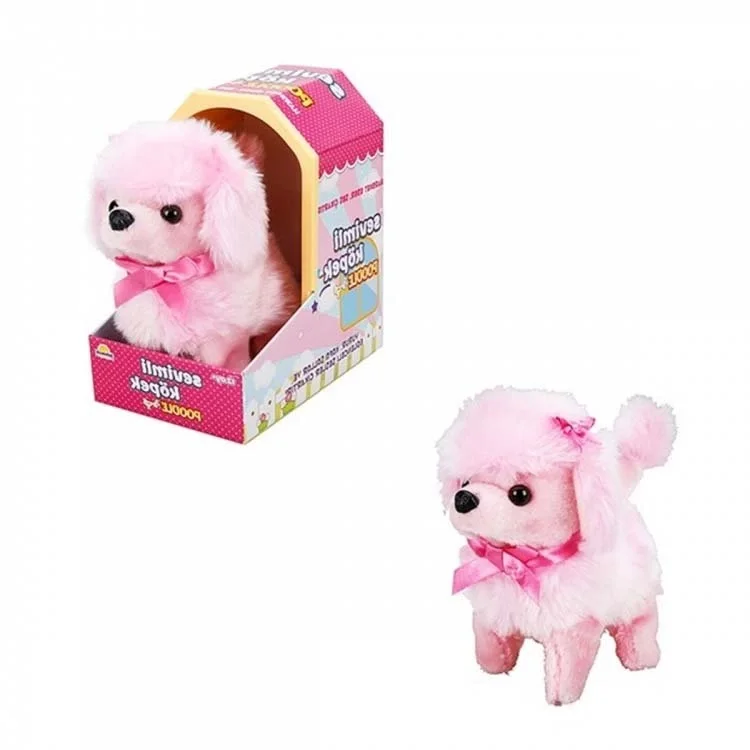 İthalat®  Sevimli Köpek Poodle