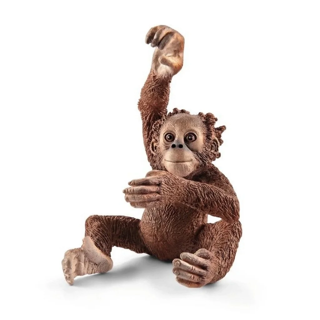 İthalat® Yavru Orangutan Fiyatı, Yorumları ve Özellikleri
