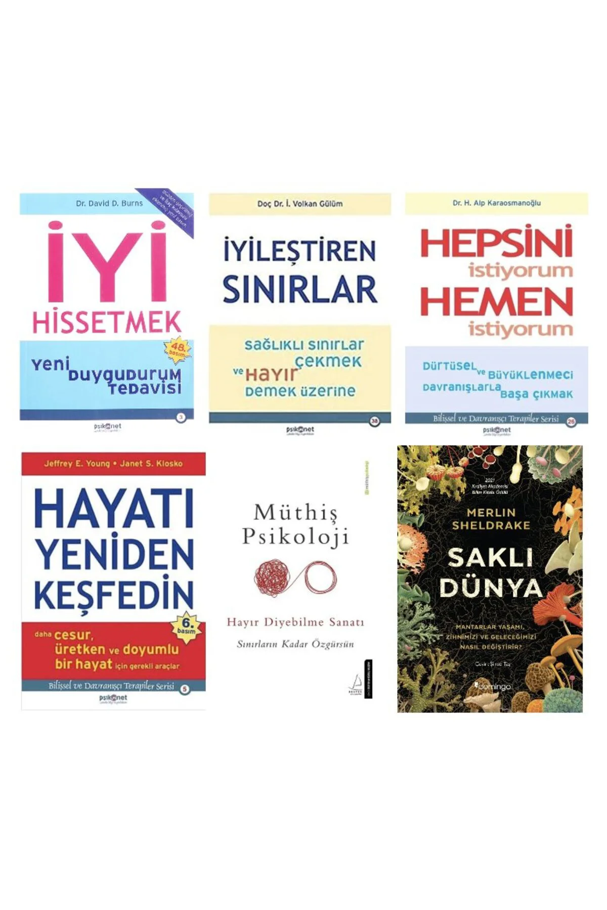 iyi hissetmek+ iyilestiren sinirlar+ hepsini istiyorum hemen+hayati yeniden kesfetmek+ muthis psiko