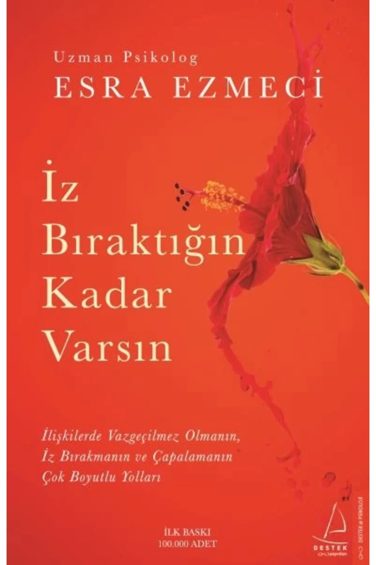 Iz Bıraktığın Kadar Varsın Fiyatı, Yorumları ve Özellikleri