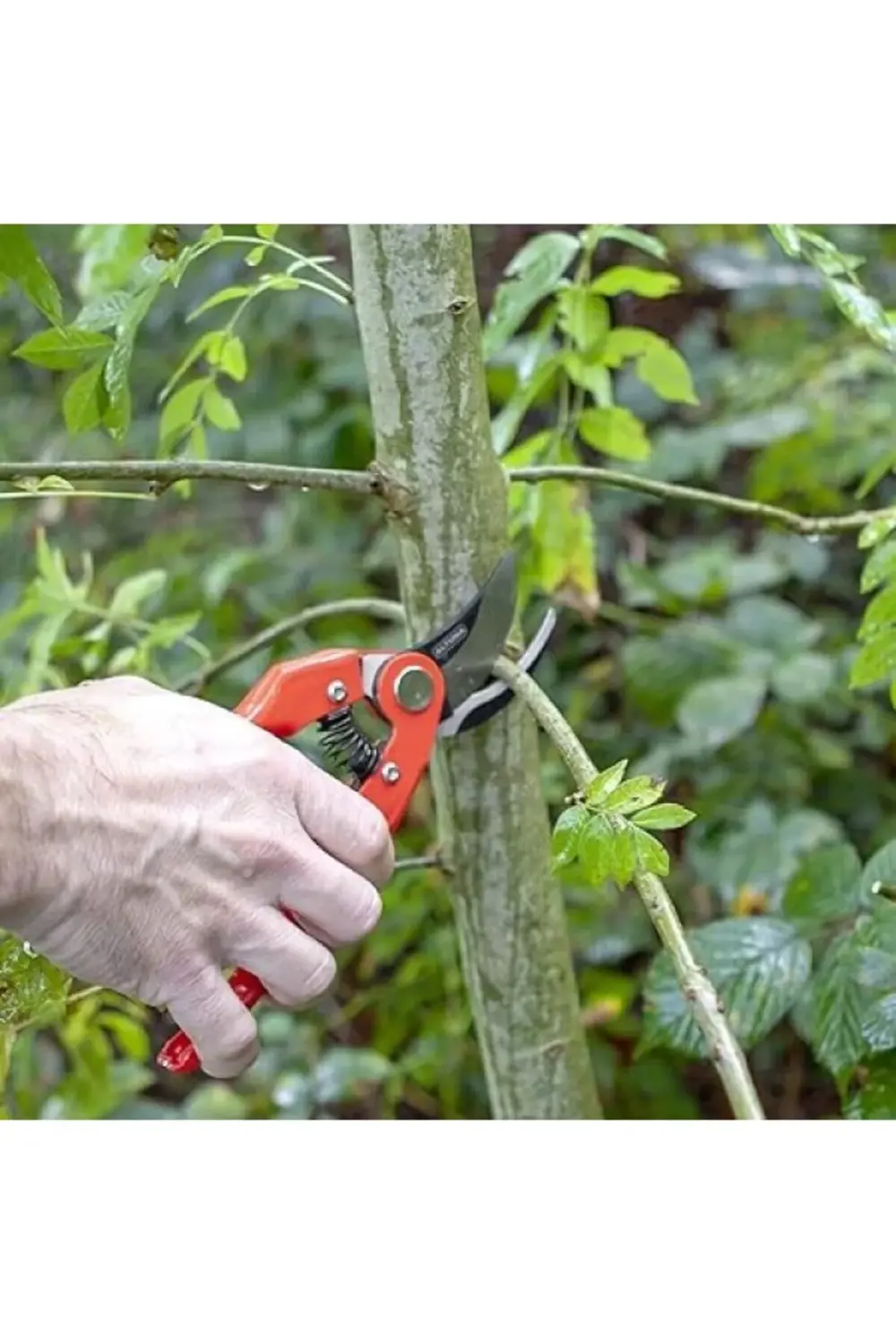 J469-22 Budama Makası, 220 Mm Komple Uzunluk, 25mm Dal Kesme Çapı