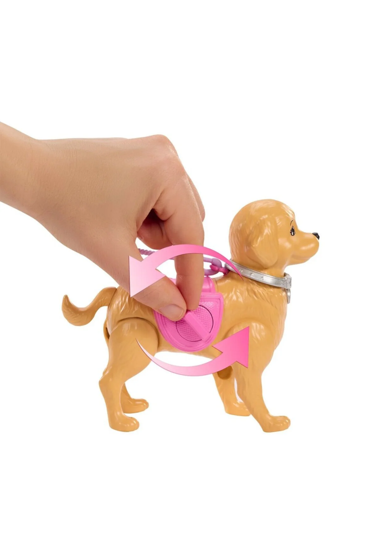 JJB46 ve Köpekçiğin Yürüyüş Zamanı