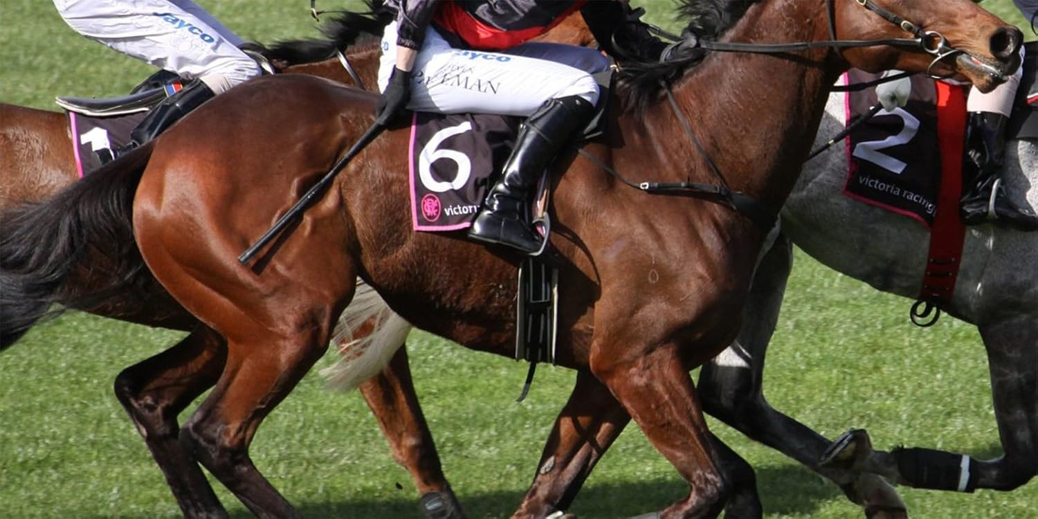 Sorella Handmade Jokey Kamçi