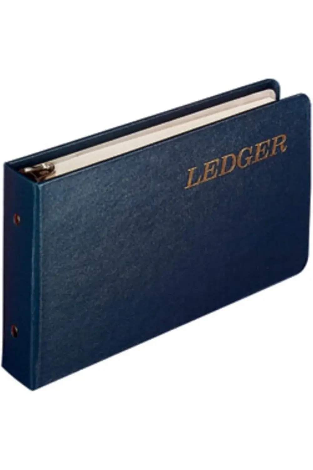 Jones Ring Ledger Outfit, Buchhaltung Ring bağlayıcı, ledger yapr