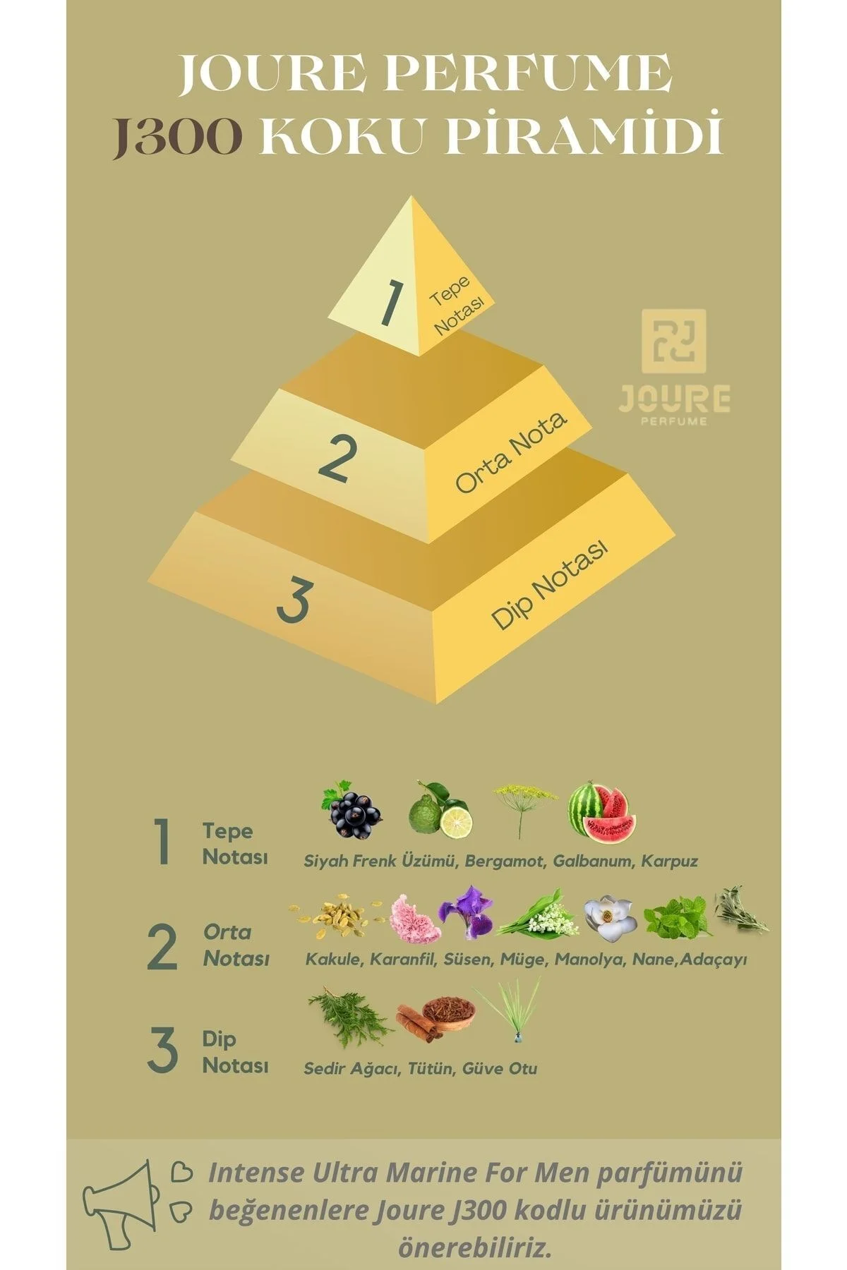 Joure J300 - Aromatik Meyveli Ferah Kokulu 50ml Kalıcı Edp Erkek Parfüm - Görsel 5