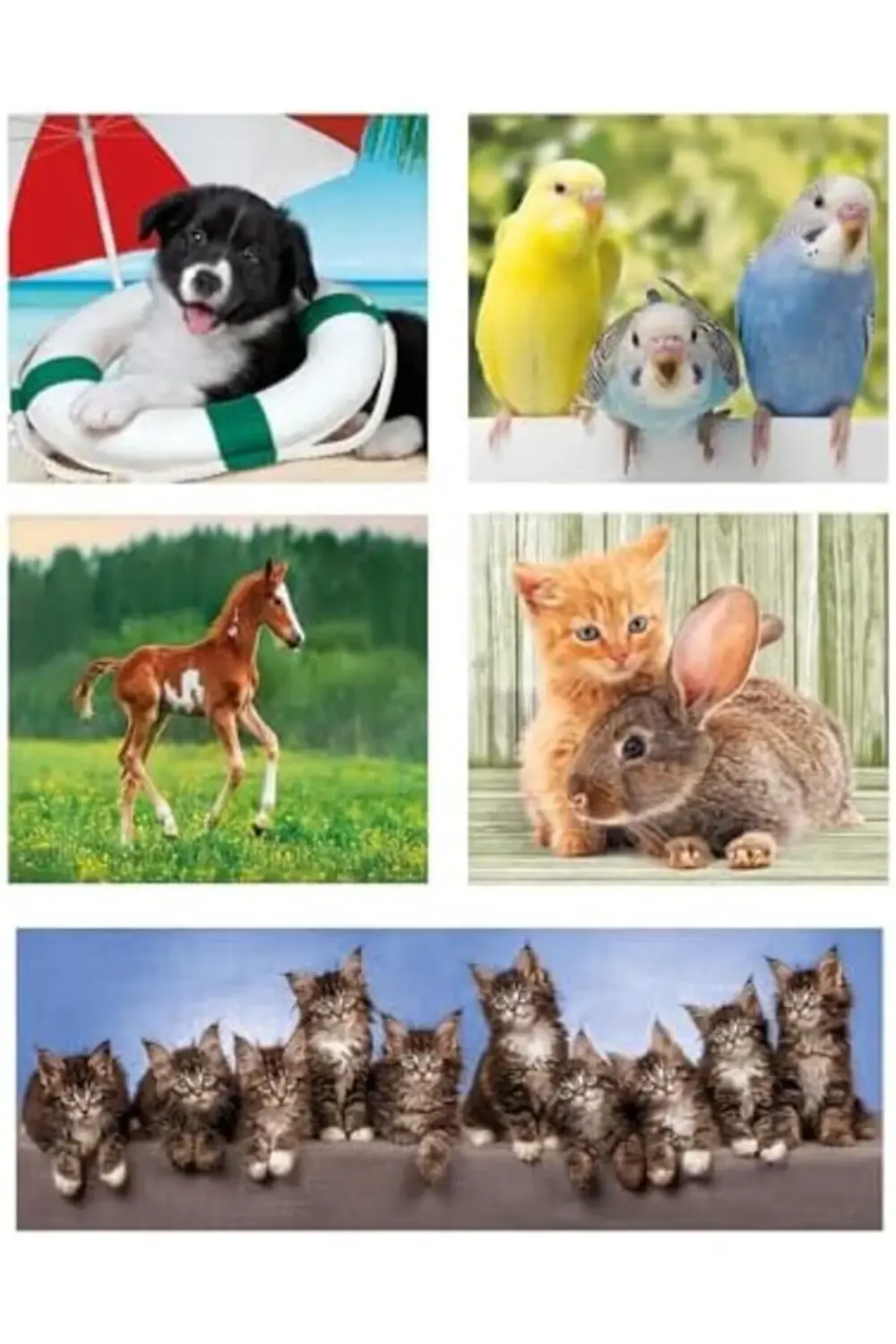 jptrShop 10w1 Super Kolor Animal Friends 1111498