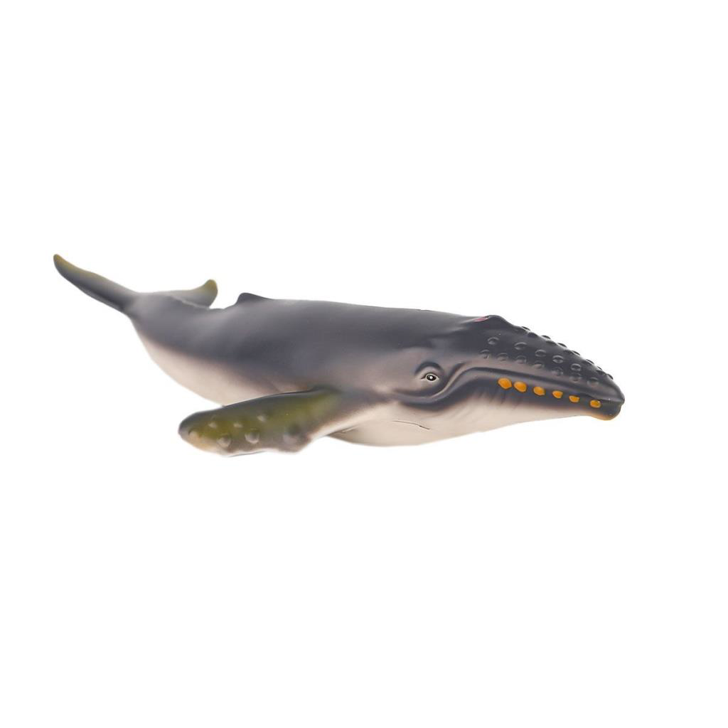 JQ-008B Deniz Hayvanları -Gepettoys JQ-008B Deniz Hayvanları -Gepettoys