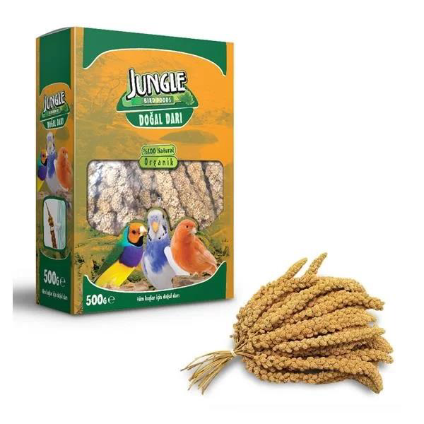 Jungle Doğal Darı 500 gr