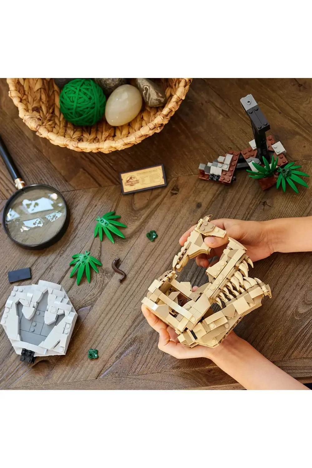 ® Jurassic World Dinozor Fosilleri: T. rex Kafatası 76964- 9+ Oyu