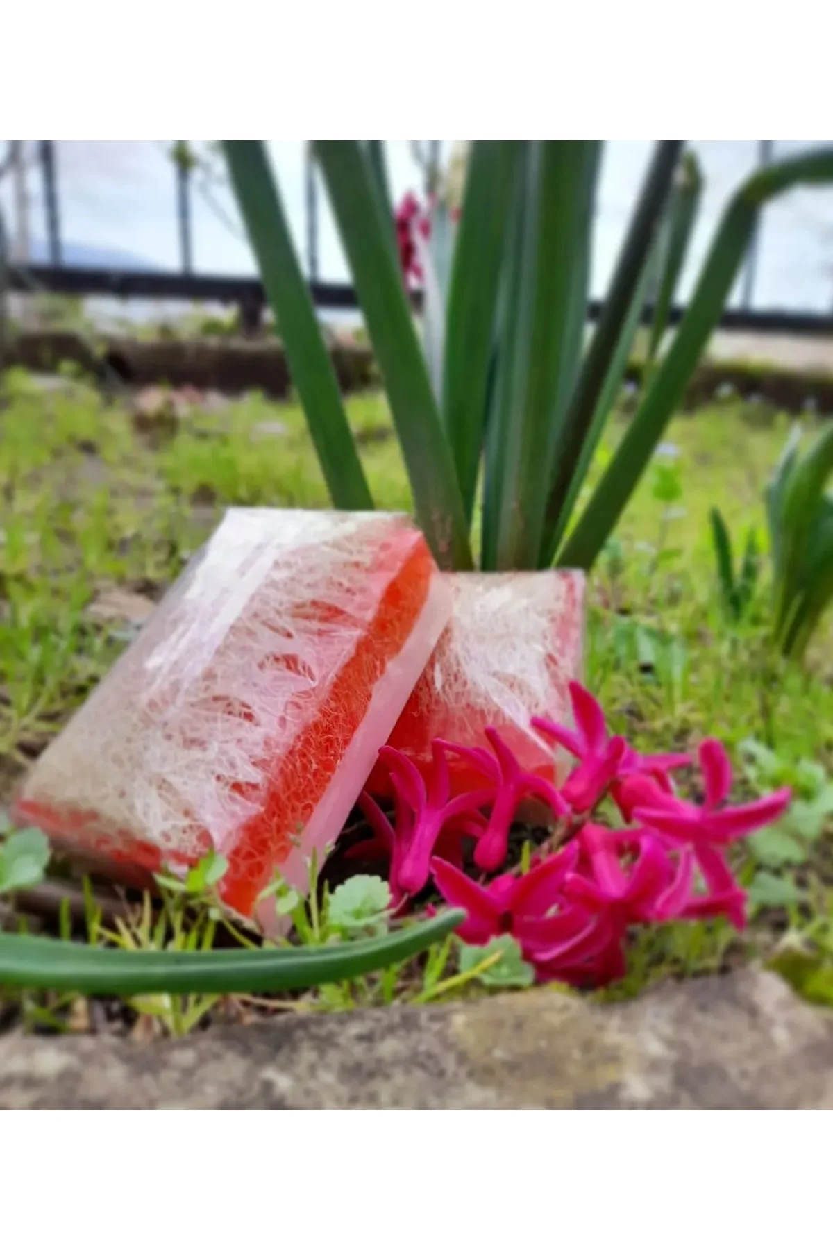 Kabak Lifli Sabun Tropikal Özlü -100 Gr.