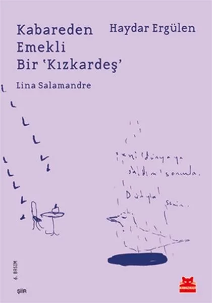 Kabareden Emekli Bir Kızkardeş Fiyatı, Yorumları ve Özellikleri