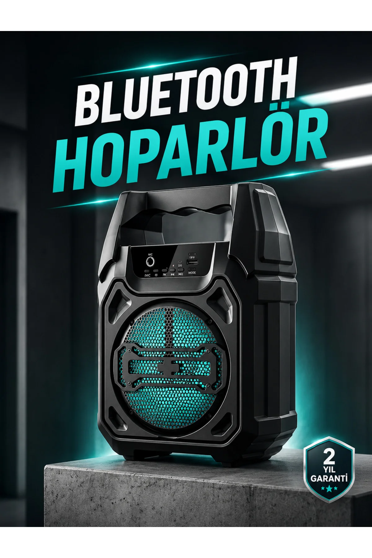 Kablosuz 6.5 İnç TWS Bluetooth Hoparlör