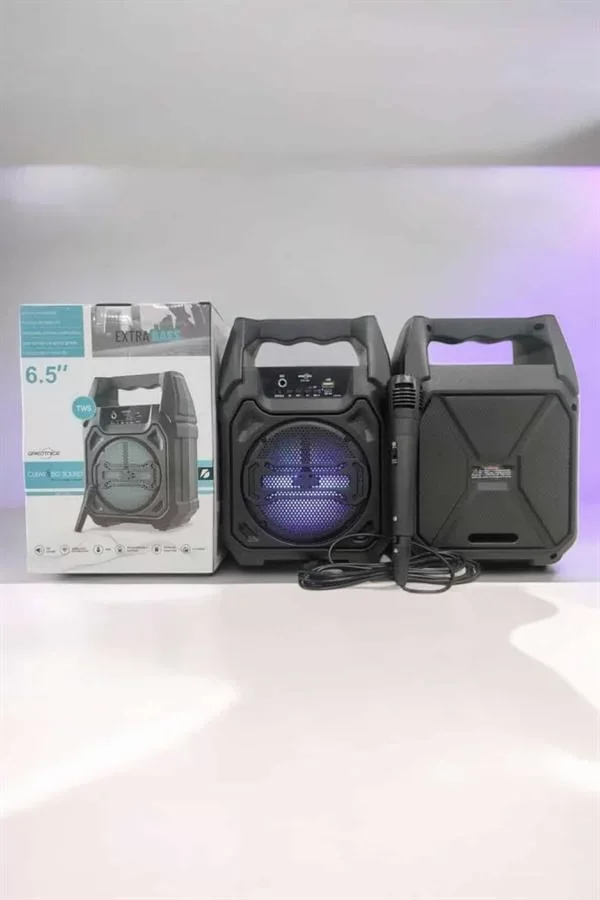 Kablosuz 6.5 İnç TWS Bluetooth Hoparlör - Lisinya