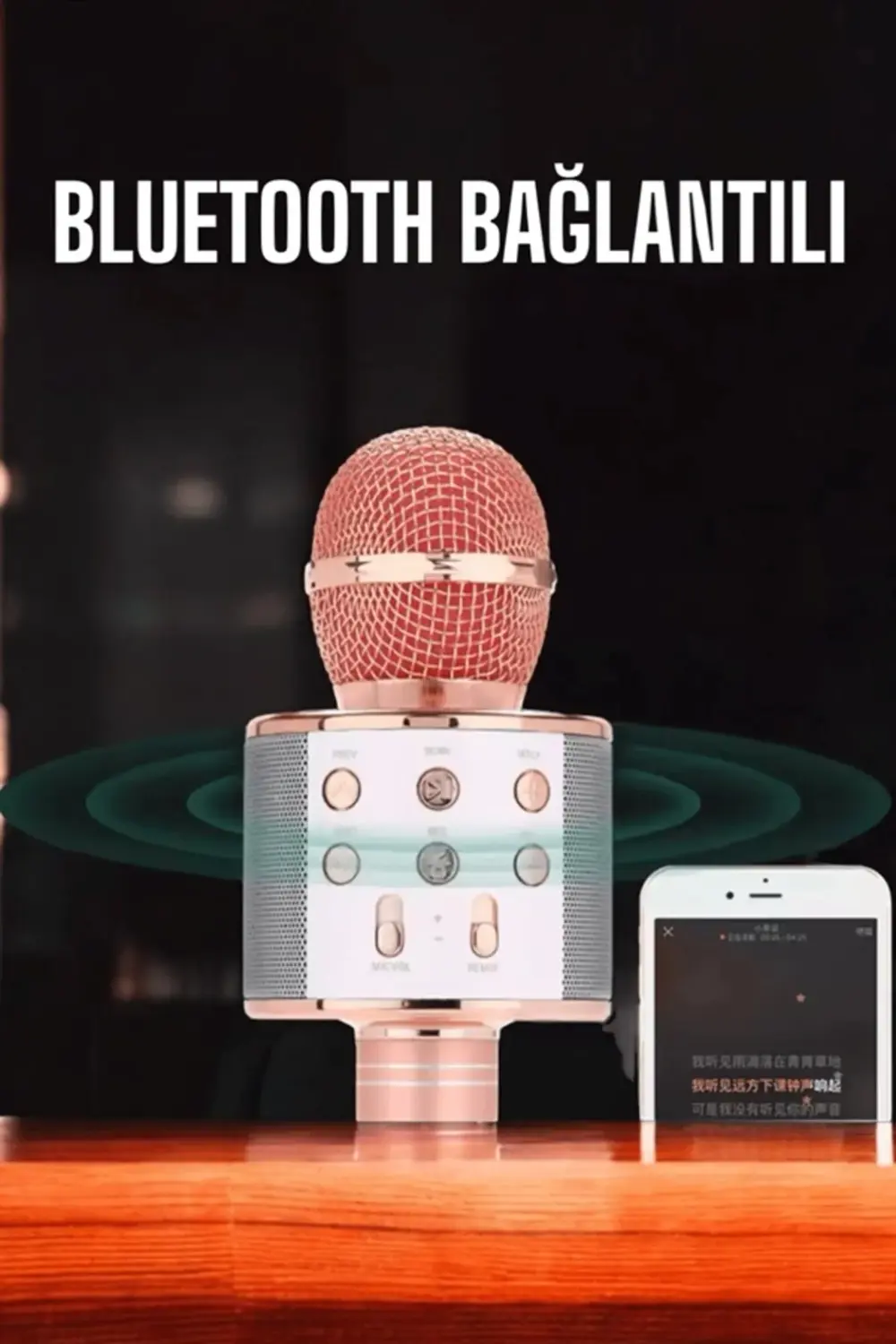 Kablosuz Bluetooth Karaoke Mikrofon USB ve AUX Girişli Yüksek Ses