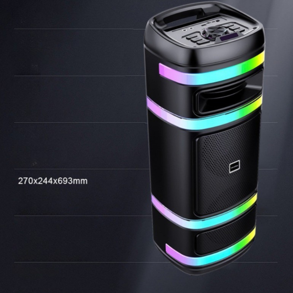 Kablosuz Mikrofonlu Taşınabilir Parti Hoparlörü 100W Güç