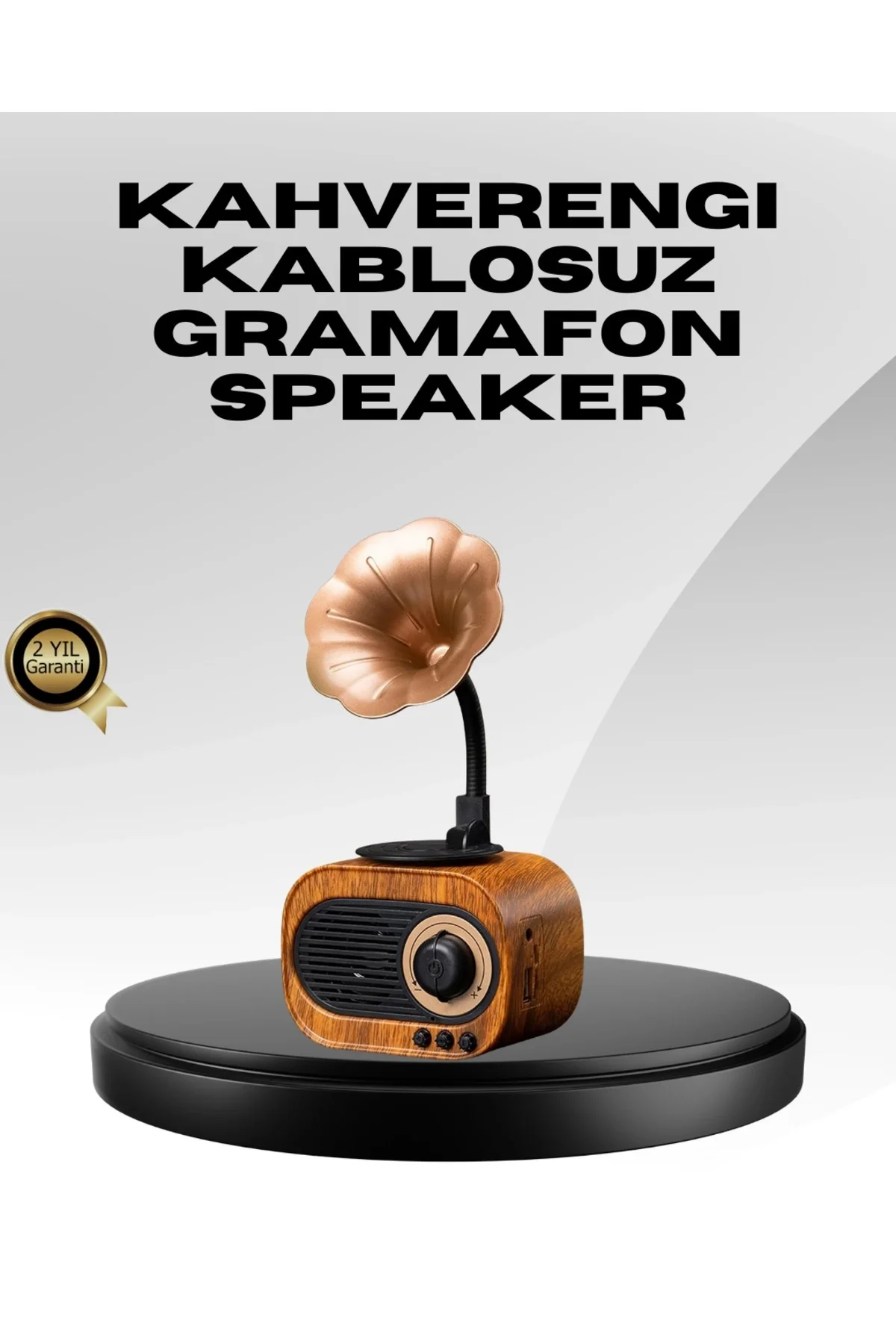 Kablosuz Radyo Hoparlör 5W Güçlü Ses Usb Hafıza Kart Destekli