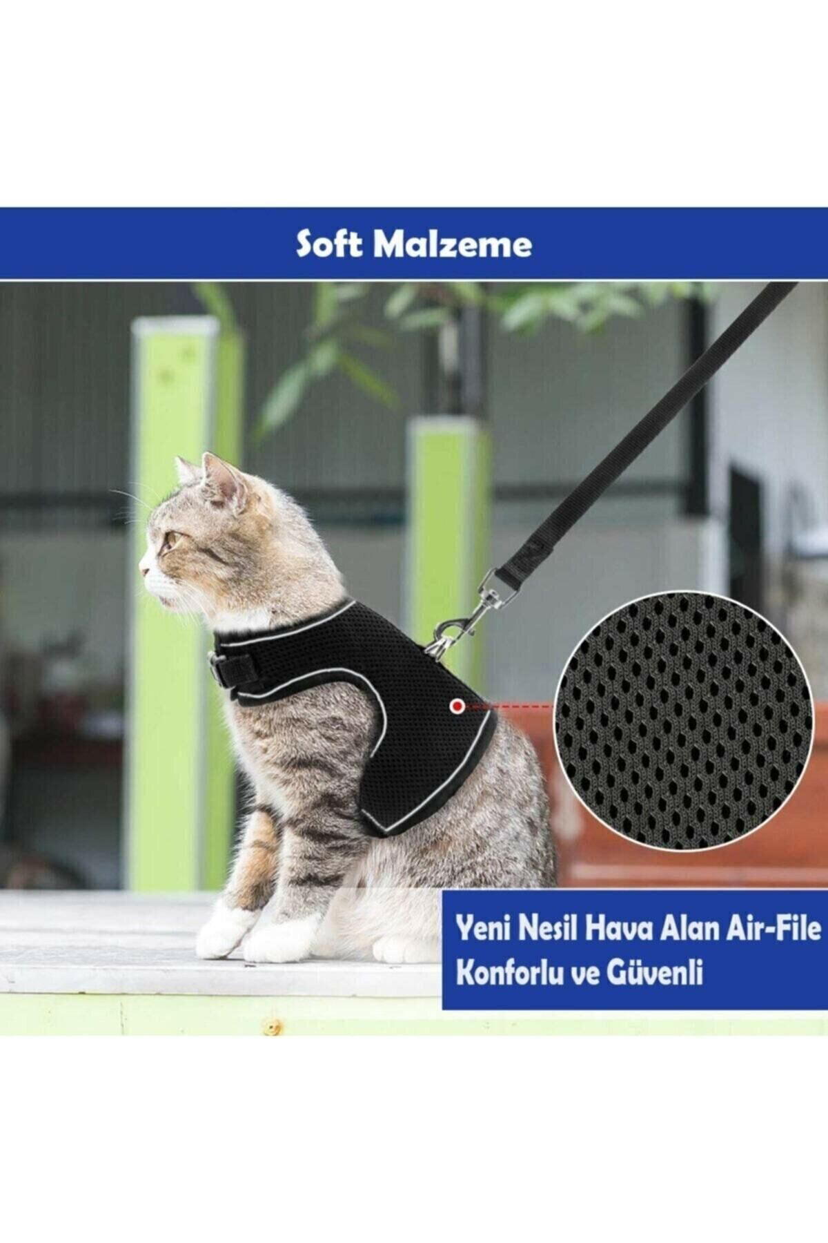Nice Shop Kaçış Önleyici Nefes Alabilen Yüzey Kedi Gezdirme Göğüs Tasma Seti Gri