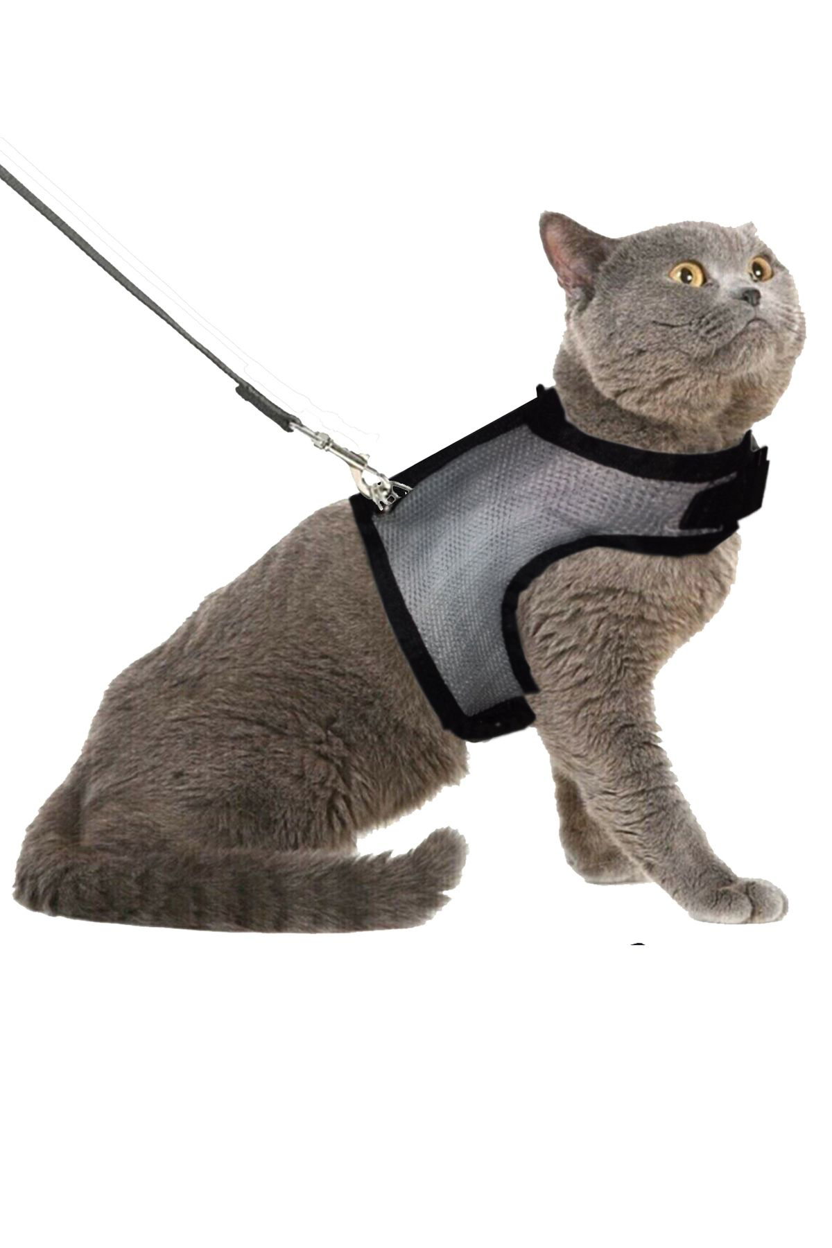 Nice Shop Kaçış Önleyici Nefes Alabilen Yüzey Kedi Gezdirme Göğüs Tasma Seti Gri