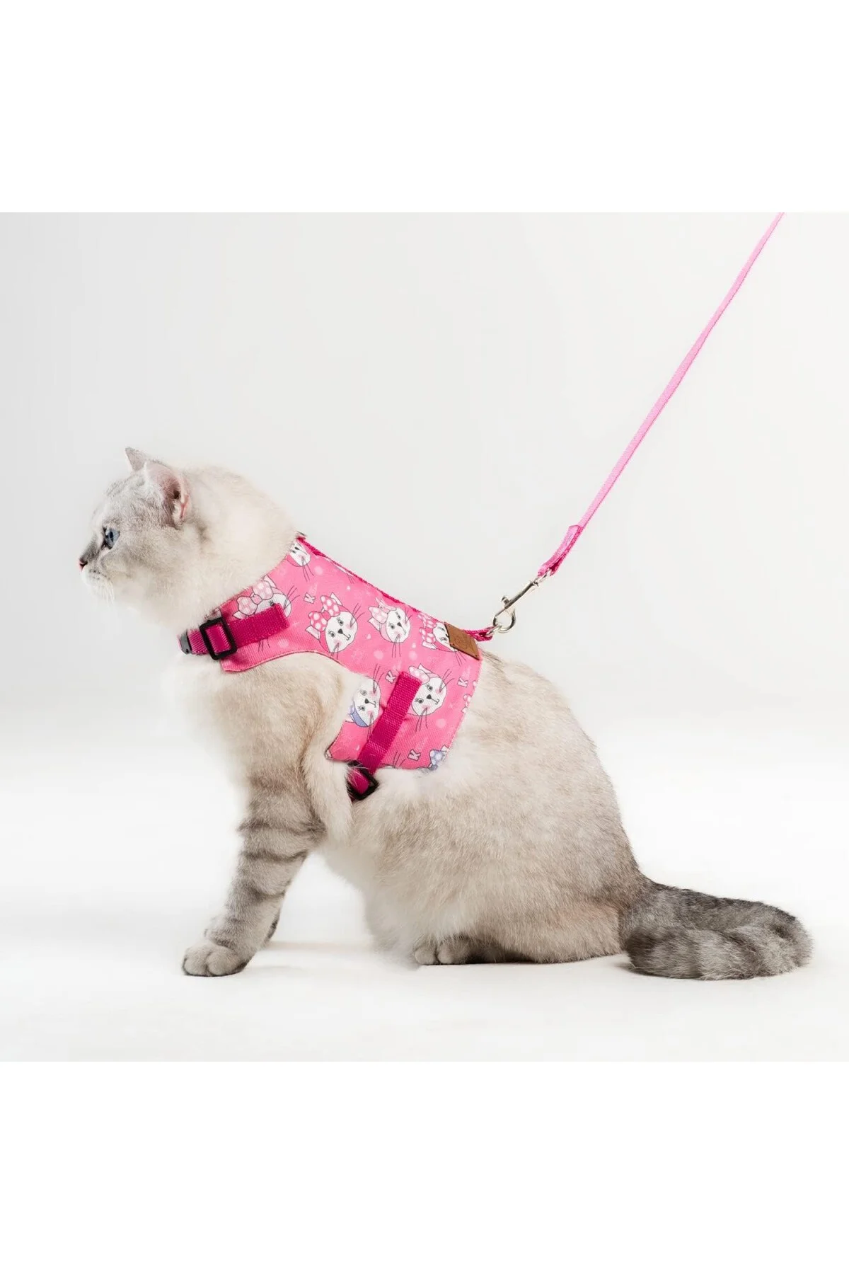 Kaçış Önleyici Kedi Gezdirme Tasması Ve Küçük Irk Köpek Gezdirme 