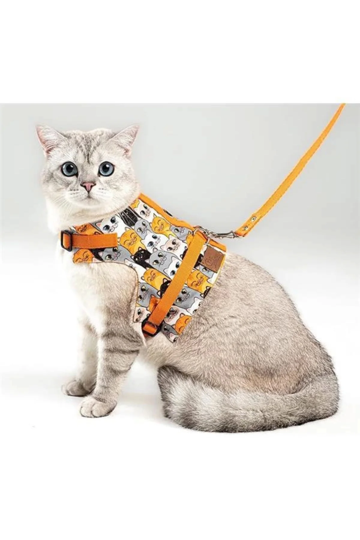 Kaçış Önleyici Kedi Gezdirme Tasması Ve Küçük Irk Köpek Gezdirme 