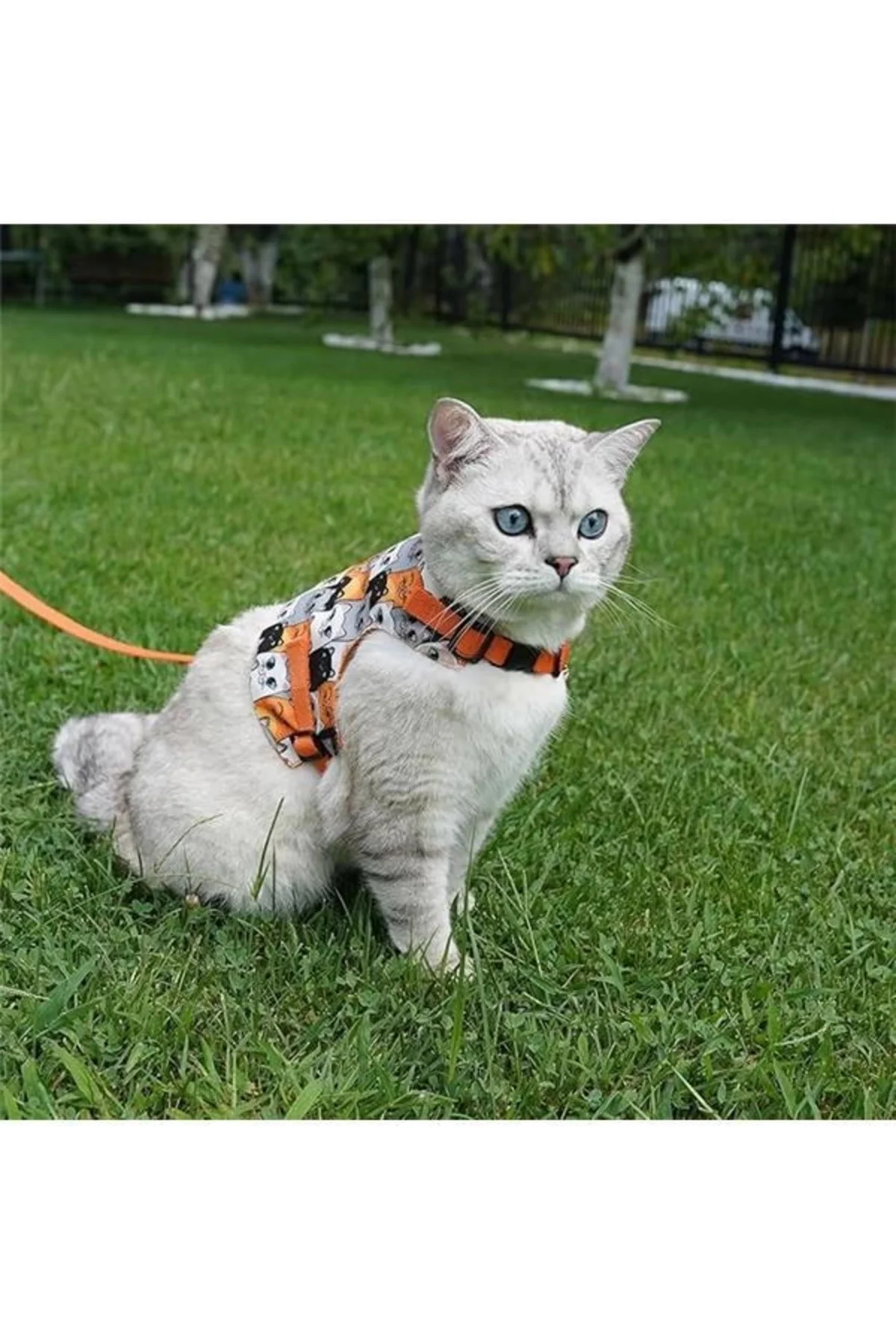 Kaçış Önleyici Kedi Gezdirme Tasması Ve Küçük Irk Köpek Gezdirme 